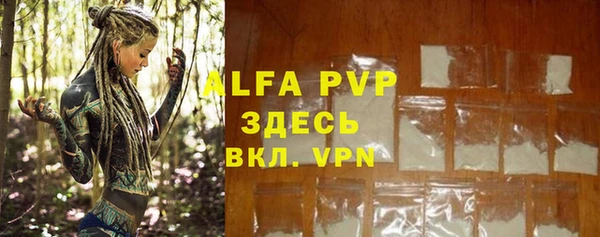 первитин Богданович