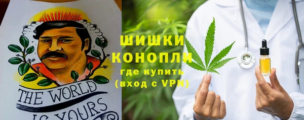 гашик Белокуриха