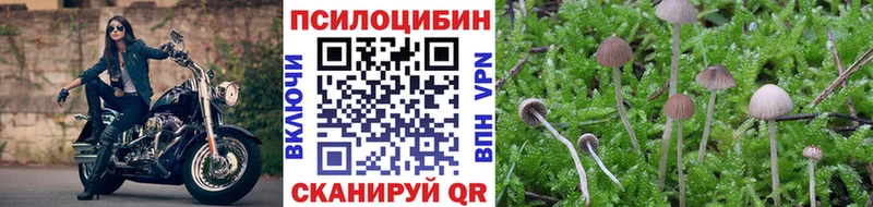 что такое наркотик  Вуктыл  Галлюциногенные грибы MAGIC MUSHROOMS 